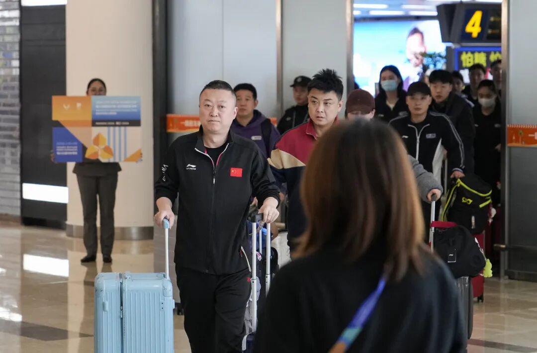 体育直播-王楚钦、孙颖莎即将复出！